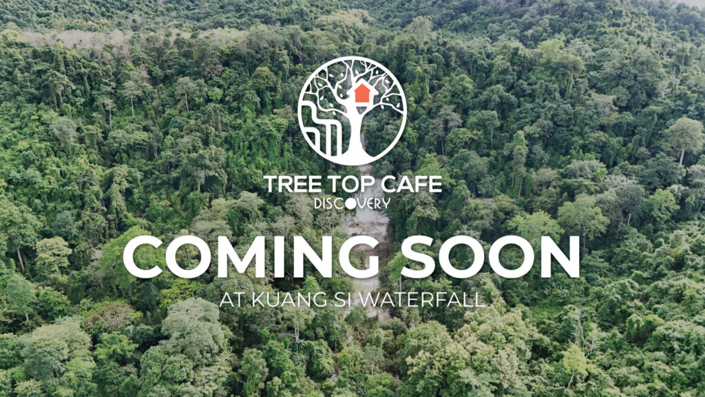 TREE TOP CAFE DISCOVERY Green Discovery Laos